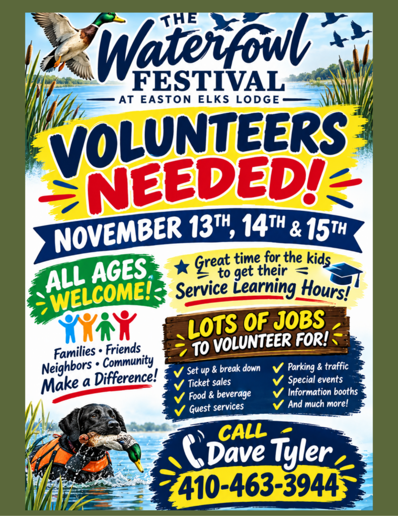 WE NEED YOU!!!