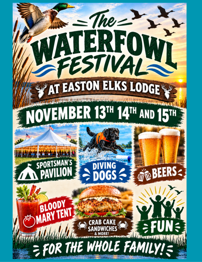 Lodge flyer